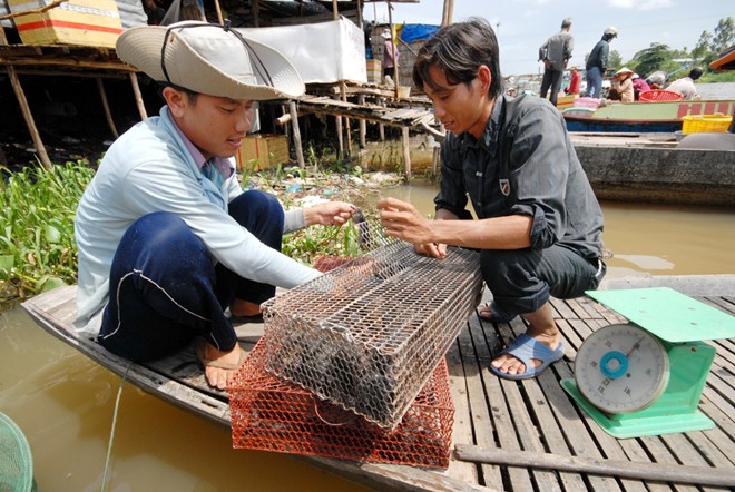 Chợ[-]sỉ[-]cá,[-]cua[-]đồng[-]ở[-]vùng[-]rốn[-]lũ[-]Đồng[-]Tháp[-]Mười